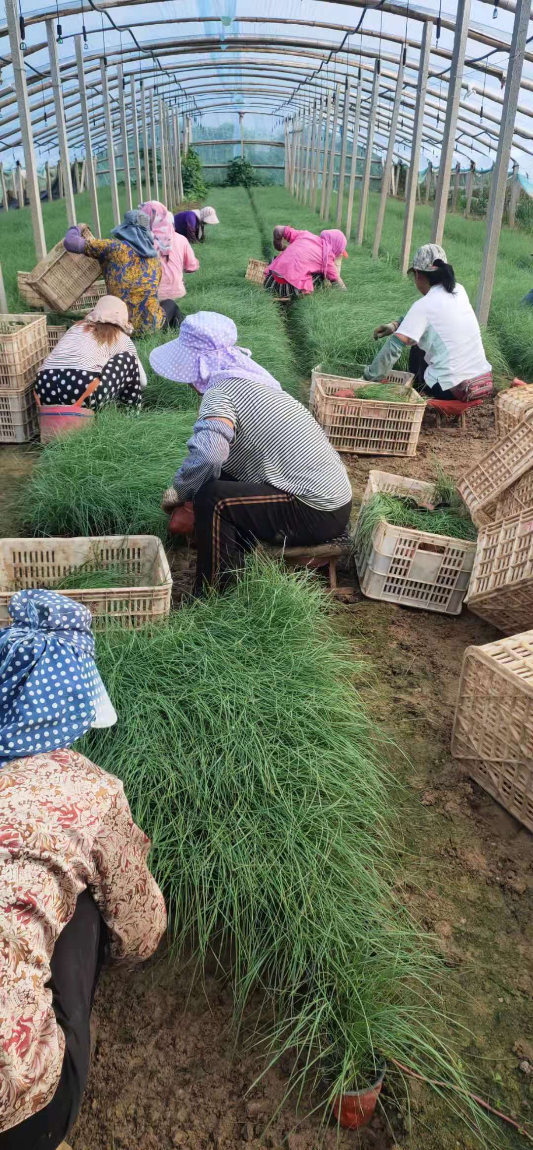 發貨現場